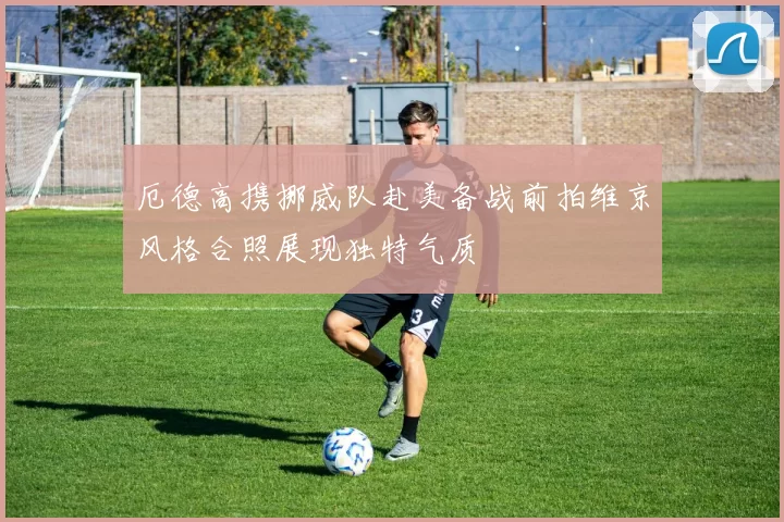 厄德高携挪威队赴美备战前拍维京风格合照展现独特气质